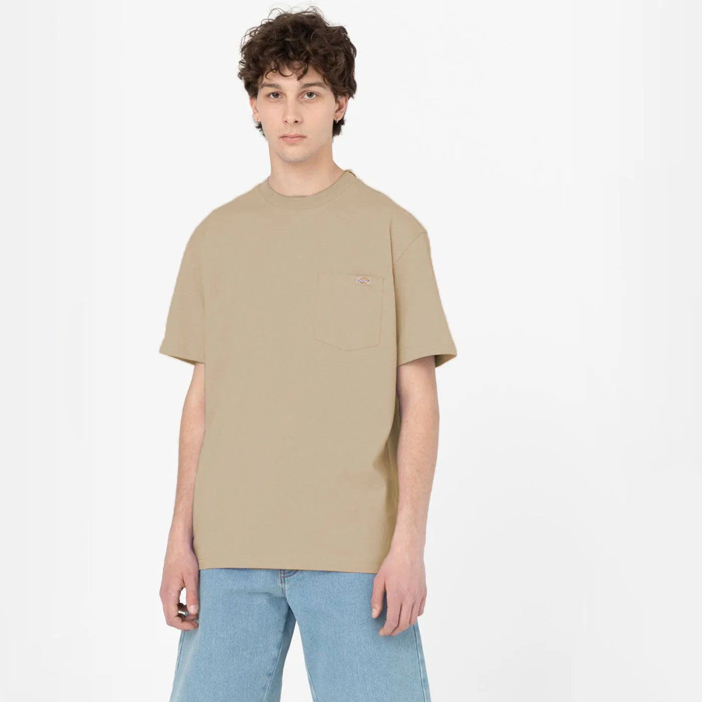 Dickies T-Shirt Porterdale Desert Sand