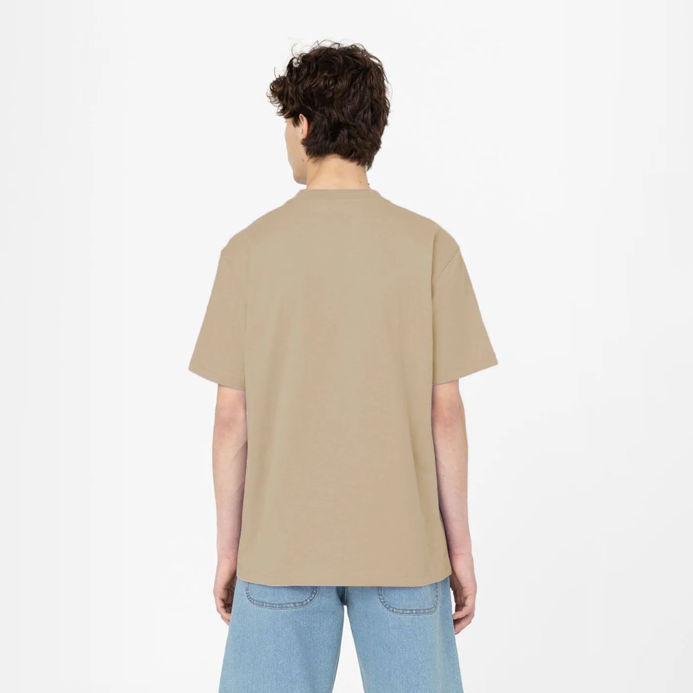 Dickies T-Shirt Porterdale Desert Sand