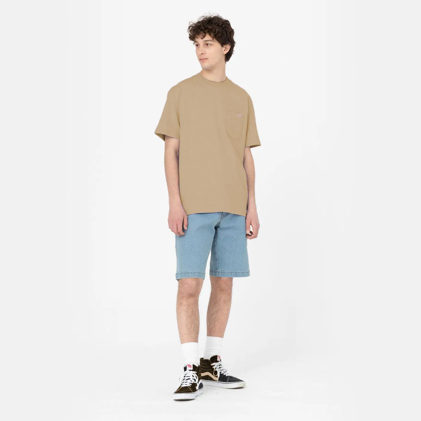 Dickies T-Shirt Porterdale Desert Sand