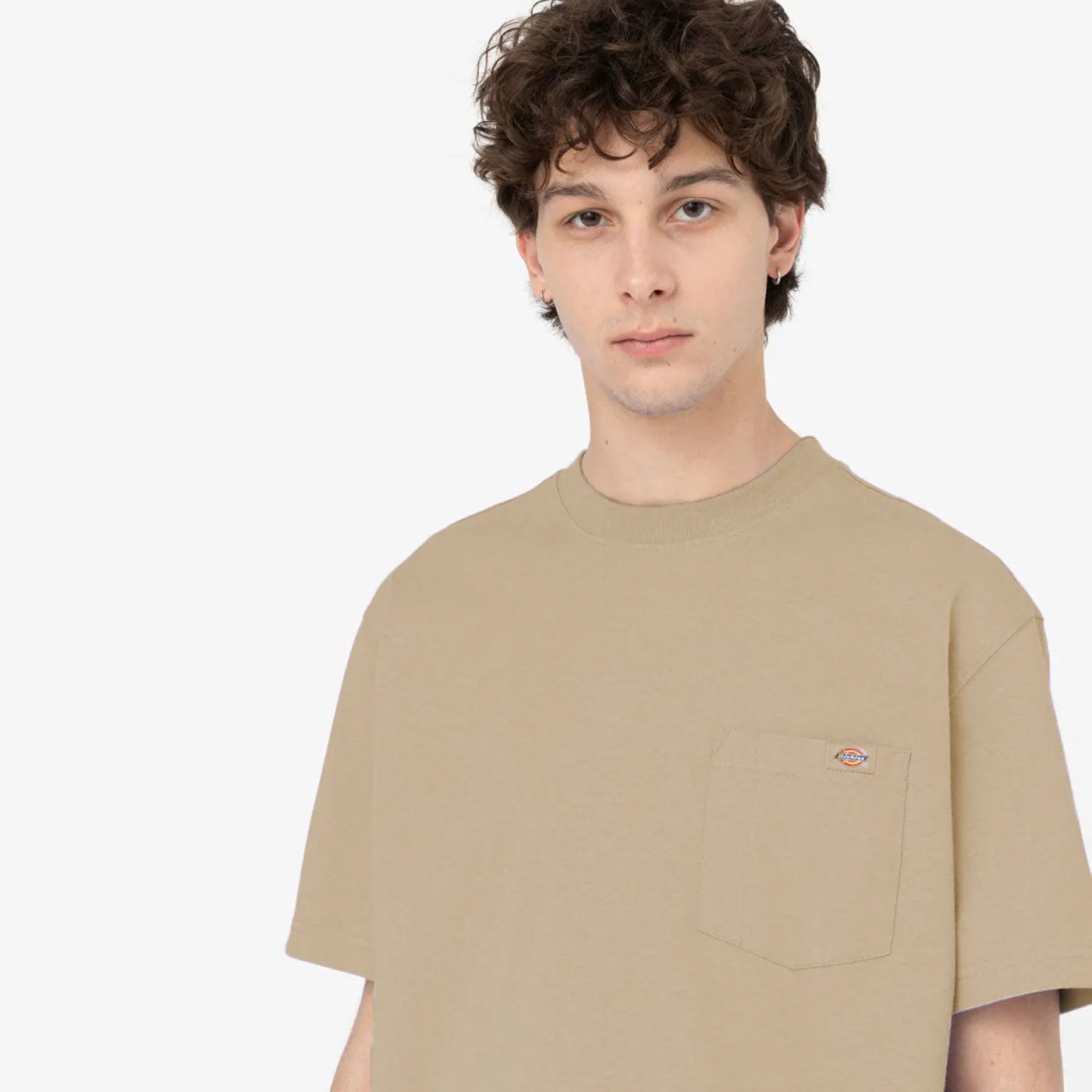 Dickies T-Shirt Porterdale Desert Sand